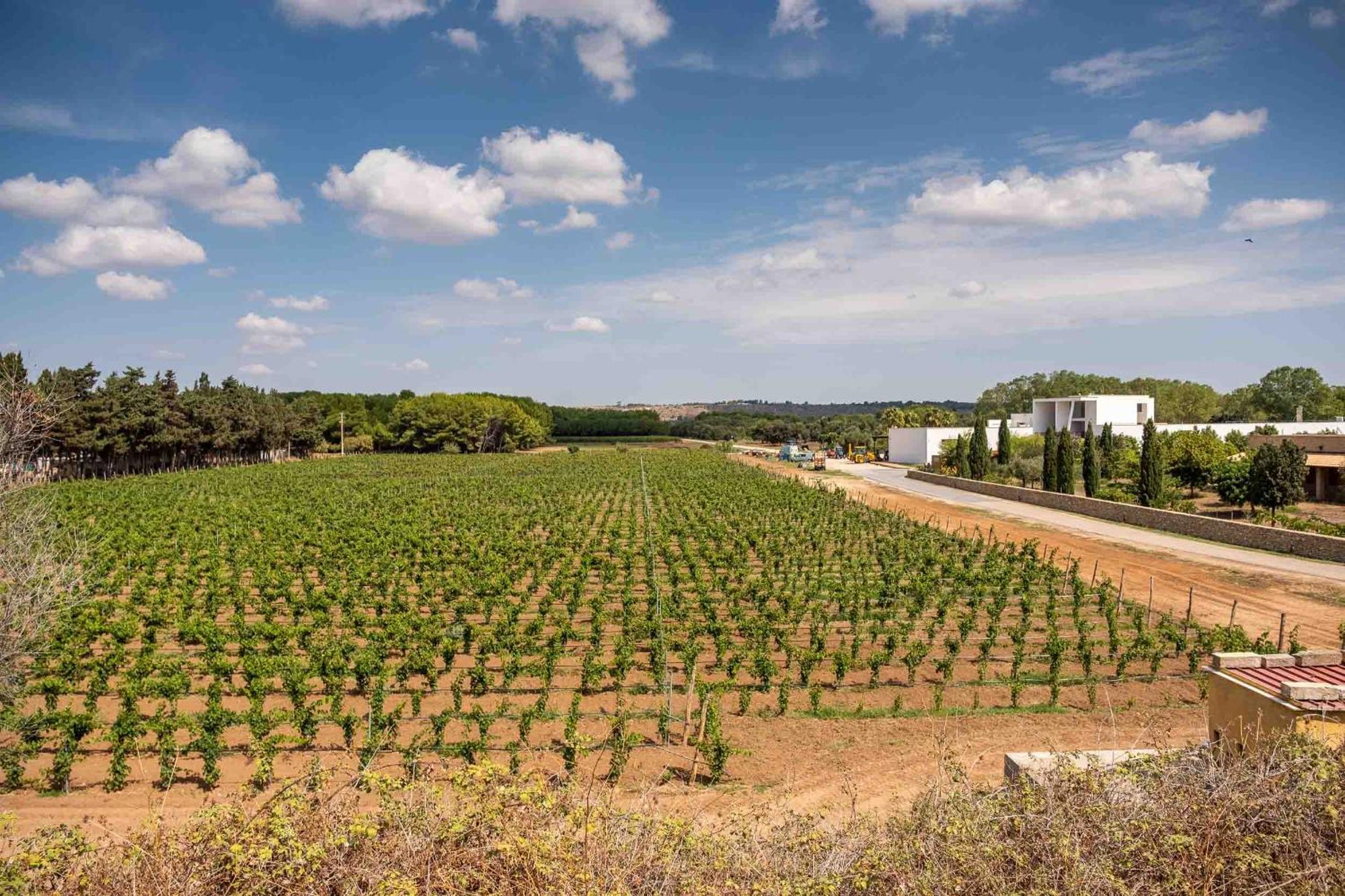 Tenuta Doxi Галлиполи Экстерьер фото